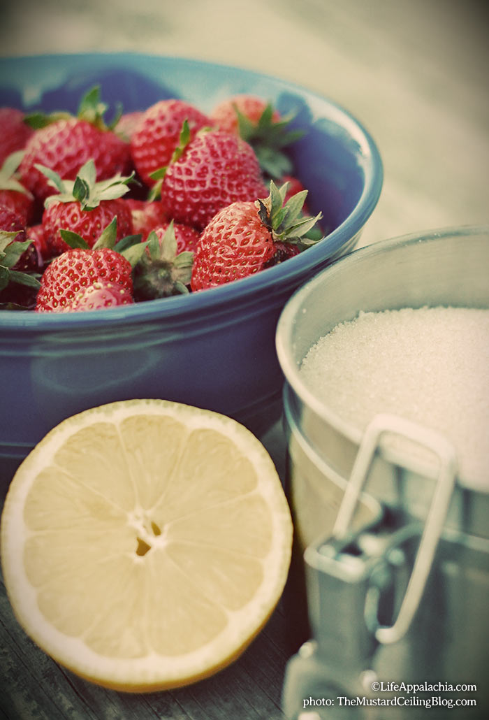 ingredients-for-strawberry-jam